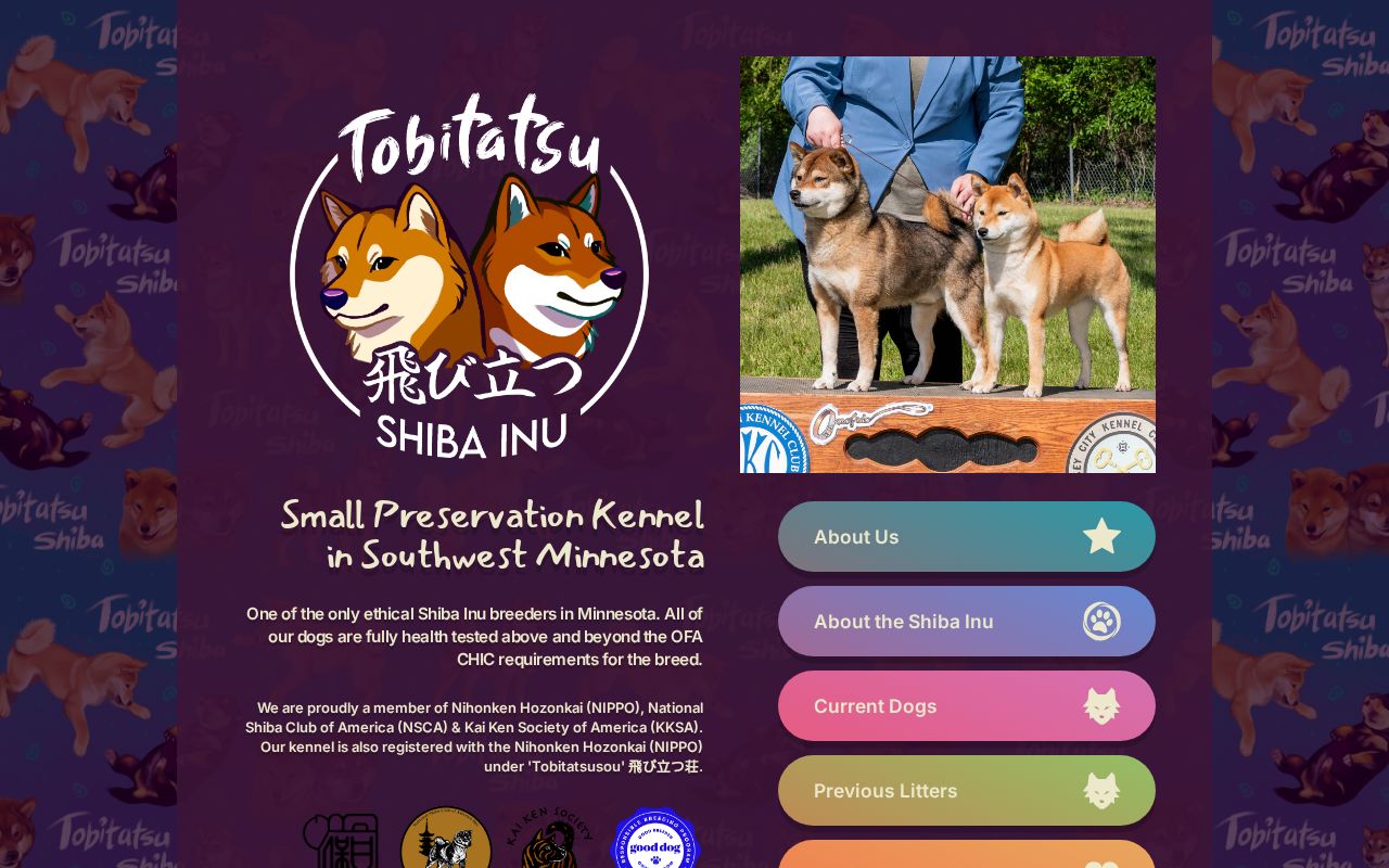 shiba様 smart_phone_cb499b3e.jpg