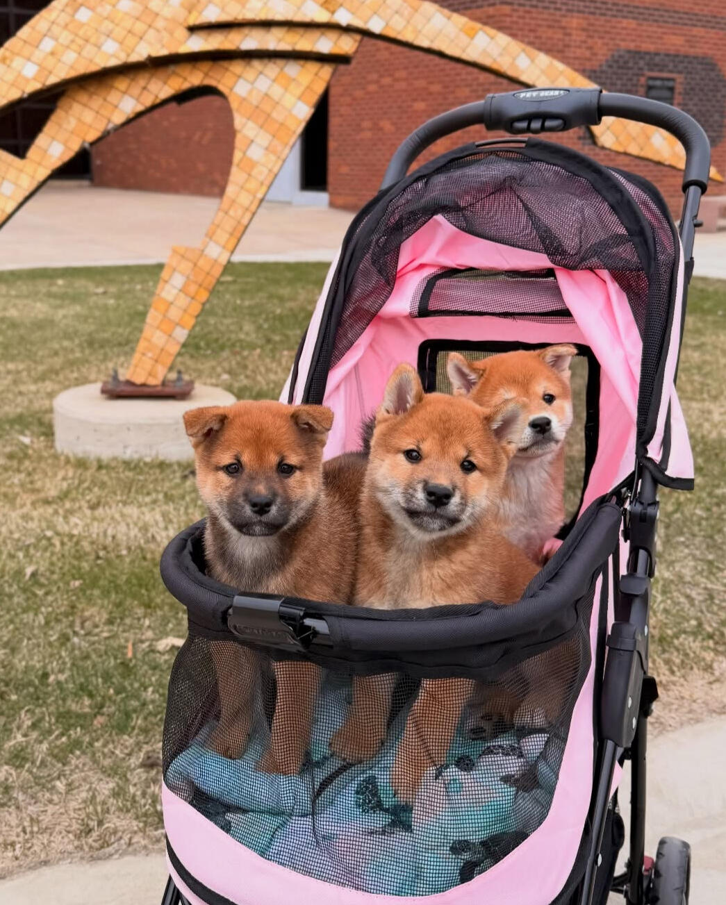 Untitled Untitled